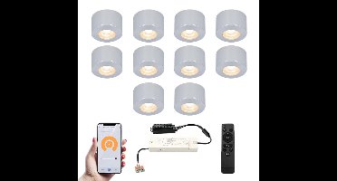 Set van 10 Navarra Smart LED Mini opbouwspots - Veranda spots - 12V 3W 200lm - Dimbaar - Wifi & Bluetooth - 2700K - IP44 waterdicht - RVS