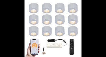 Set van 12 Navarra Smart LED Mini opbouwspots - Veranda spots - 12V 3W 200lm - Dimbaar - Wifi & Bluetooth - 2700K - IP44 waterdicht - RVS