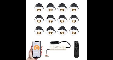 Set van 12 Betty Smart LED Mini Inbouwspots - Veranda spots - 12V 3W 140lm - Dimbaar - Wifi & Bluetooth - 2700K - IP44 waterdicht - Wit