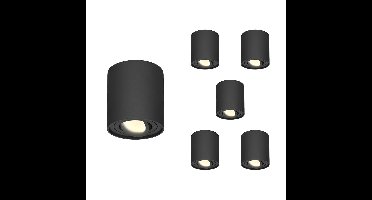 Set van 6 Ray LED opbouwspots - Rond - Dimbaar - 4 Watt 345 lumen - 2700K warm wit - Kantelbaar - GU10 - Plafondspot - IP20 Voor binnen - Zwart