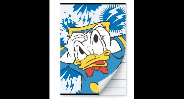Donald Duck Schriften ruitjes - A4 - Set van 2 stuks