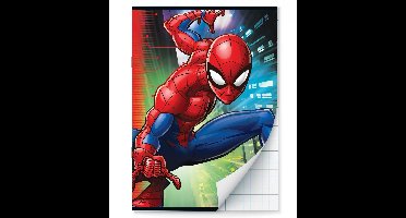 Spider-Man Schriften ruitjes - A4 - Set van 2 stuks