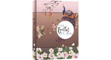 MUS Mijn Bullet Journal - Japan