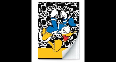 Donald Duck Schriften ruitjes - A4 - Set van 2 stuks