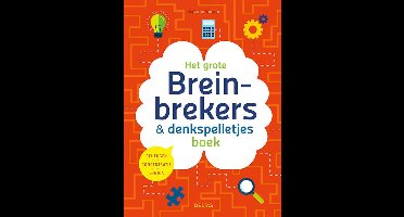 Het grote breinbrekers&denkspelletjes boek
