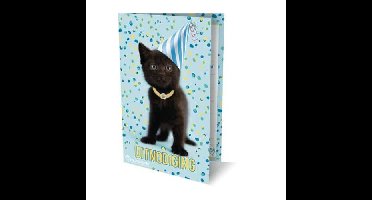 Uitnodigingen - Rachael Hale Kat - 6 stuks