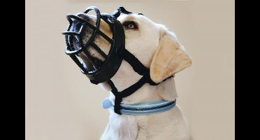 BZ TPR MUILKORF ZWT MT 2