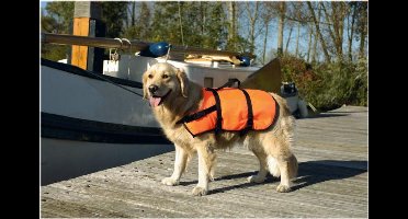 BZ VEILIGHEIDS/ZWEMVEST SM 7-9KG