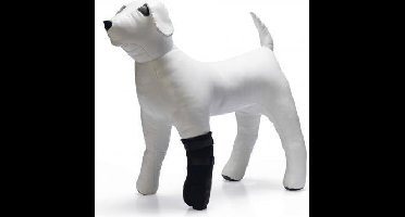 BZ BESCHERMINGSSCHOEN ZWT MAAT S 2X