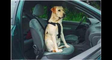 BZ WANDEL- EN AUTOGORDEL HOND S