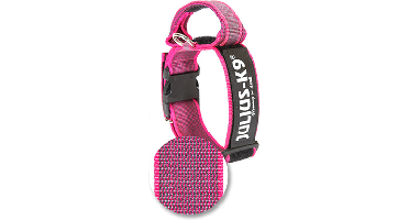 Halsband Met Beveiligingssluiting - Roze - 50mm x 47-67cm