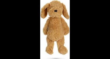 BZ PLU HSP HOND VAJEN LBRN 41