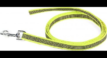 Korte lijn hond - Antislip - 20mm - Zonder handvat