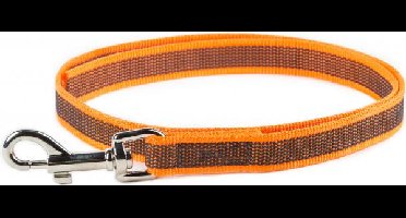 Korte lijn hond - Antislip - 20mm - Zonder handvat