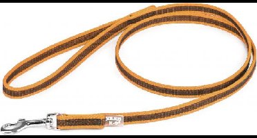 Korte lijn hond - Antislip - 14mm - Met handvat