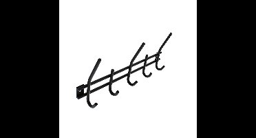 Intersteel Garderobe 5 haken - zwart