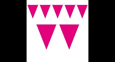 1x Mini vlaggenlijn / slinger magenta roze 300 cm