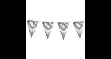 Boland Vlaggenlijn XL - zilver - 10 meter - vlaggentjes - glitter en glamour