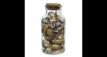 Deco schelpen in glazen pot - D8 x H16 cm - bruin tinten