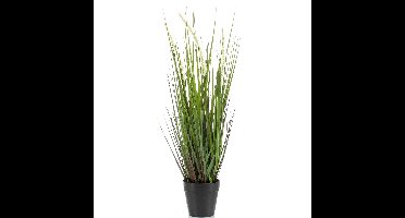 Emerald Kunstplant Siergras - groen - gras sprieten - 53 cm - kunstplanten