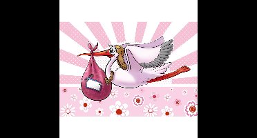 Folat Raamvlag geboorte meisje - 60 x 90 cm - polyester - babyshower - kraamversiering