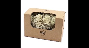 HBX Natural Living Decoratie mos - wit/naturel - 50 gram - rendiermos - hobby