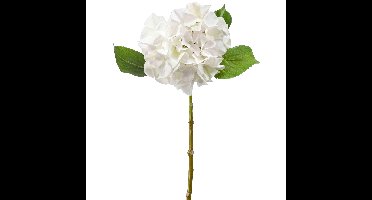 Kunstbloem Hortensia tak - Challenge - 47 cm - wit - kunst zijdebloem - Hydrangea