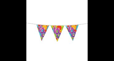 Leeftijd verjaardag thema vlaggetjes 100 jaar plastic 10 meter