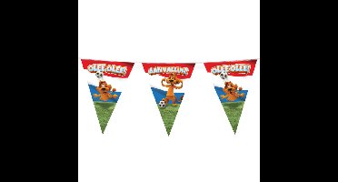 Loeki de Leeuw Hup Holland vlaggenlijn rood/wit/blauw 10 meter