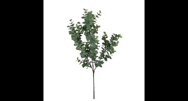 Mica Decorations Kunstblad - eucalyptus - groen - tak - 65 cm - decoratie