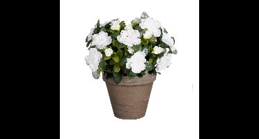 Mica Decorations Kunstplant - Azalea - Wit - in pot - 31 cm