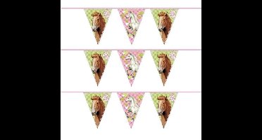 Paarden vlaggenlijn - 3x - 6 meter - plastic - themafeest paarden - versiering - slinger