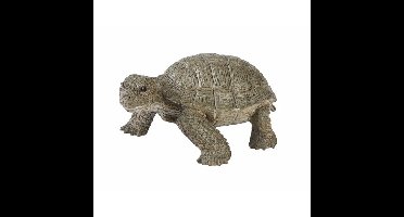 Ravensden schildpad speelfiguur - 14 cm - Levensecht - lopend - schildpadden - kunststof