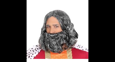 Verkleedpruik voor heren met baard - grijs - half lang haar - Carnaval - Krijger/ridder/koning