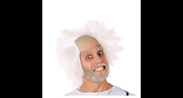 Verkleedpruik voor heren - wit - Professor/oude man - Carnaval - half lang warrig haar