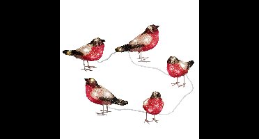 Verlichte vogels Goudvinken - 5 st - 15 x 12 cm - aan LED lichtsnoer - helder wit - dieren