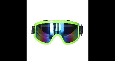 Carnaval/verkleed Apres Ski bril - groen - volwassenen - kunststof