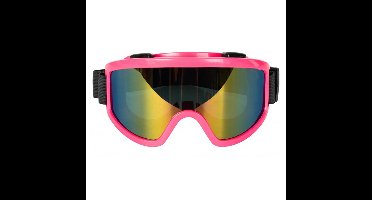 Carnaval/verkleed Apres Ski bril - roze - volwassenen - kunststof