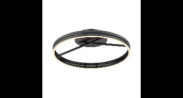 Paul Neuhaus Ronde plafondlampPure Loop grijs - 6552-15