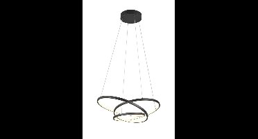 Trio Vide hanglampDarvin zwart - 62cm - 349110132