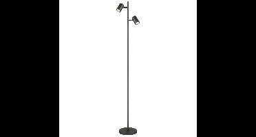 Globo Grijze vloerlampJames dubbel - 57918S