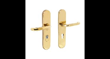 Intersteel AchterdeurbeslagAurano kerntrekbeveiliging 72mm ovaal messing ongelakt - 0010.382136Z