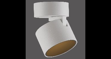 Paul Neuhaus Strakke opbouwspotPure Cup snow white - 6226-16