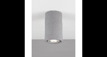 Lyora PlafondspotEmile betongrijs - 9540210