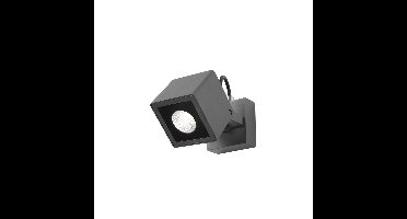 Lyora Vierkante spotFocus richtbaar - 752470