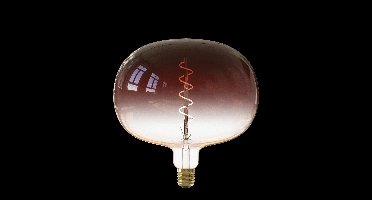 Circle LichtbronBoden - 5W - E27 - 130 lumen - 1800K met bruine tint - 426274