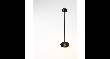 Lyora TuinlampArion antraciet - 9030558