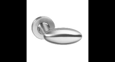 Intersteel DeurklinkGolfclub geveerd RVS - 0035.061302