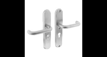 Intersteel AchterdeurbeslagAurano kerntrekbeveiliging ovaal PC 55mm RVS - 35.378.529