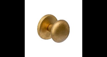 Intersteel VoordeurknopCastor Ø 5,8cm messing getrommeld - 0011.393036